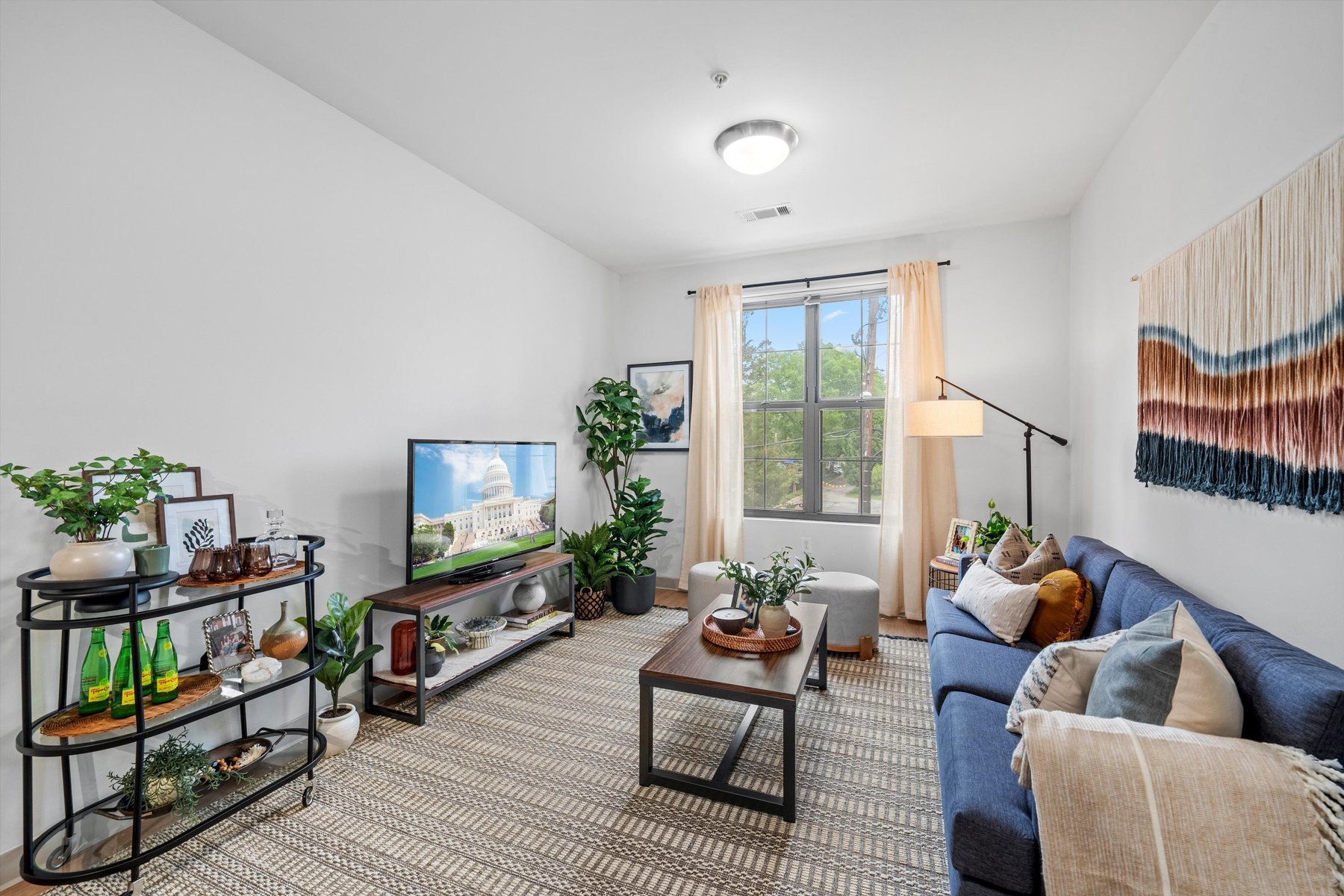 A bright, modern living room at Landmark College Park features a blue sofa, coffee table, TV, potted plants, and a window with sheer curtains. Wall art and decorative shelves add cozy touches to the space.